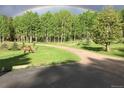 Picturesque property featuring a lush lawn where elk roam freely under a vibrant rainbow, creating a serene and natural setting at 9239 Black Mountain Dr, Conifer, CO 80433