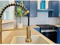 Close-up view of a modern kitchen sink with gold faucet at 8468 Thunder Ridge Way # 202, Highlands Ranch, CO 80126