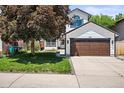Charming home showcasing a large front yard, mature trees, and a well-maintained exterior with a two-car garage at 3835 Shefield Dr, Broomfield, CO 80020