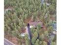 Expansive aerial view showing the home's wooded lot, long driveway, and surrounding trees at 4305 Red Rock Dr, Larkspur, CO 80118
