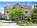 Charming townhome exterior with stone accents, mature tree, and a neatly landscaped front yard at 494 Black Feather Loop # 108, Castle Rock, CO 80104