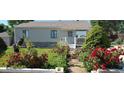 Well-maintained home featuring vibrant red roses and lush green landscaping along the walkway and in the yard at 1940 E 95Th Ave, Thornton, CO 80229