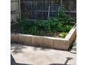 A raised garden bed with lush greenery, framed by concrete blocks and a wooden fence, perfect for gardening at 970 S Peoria St, Aurora, CO 80012