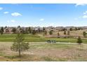 Picturesque golf course with lush green fairways and serene water features create a relaxing atmosphere at 7713 S Zante Ct, Aurora, CO 80016