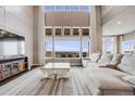 Bright living room with high ceilings, large windows, a comfortable couch, and an area rug at 8750 Red Primrose St, Franktown, CO 80116