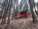Cabin exterior surrounded by tall trees with red foundation showing underneath at 5525 S Twin Spruce Dr, Evergreen, CO 80439