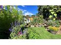 Lush backyard garden with vibrant flowers, greenery, and a charming pergola structure at 1008 Yeager Dr, Longmont, CO 80501