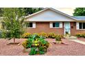 Beautiful front yard with meticulous landscaping and brick home with well-maintained details at 1008 Yeager Dr, Longmont, CO 80501