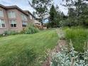 Expansive back yard featuring a lush lawn, mature trees, and well-maintained landscaping at 6584 S Sedalia St, Aurora, CO 80016