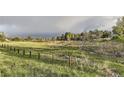 Scenic view of greenbelt with lush grass and diverse vegetation at 4162 S Richfield S Way, Aurora, CO 80013