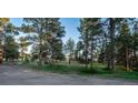 A serene view of expansive open land dotted with majestic trees, offering a sense of peaceful seclusion at 34480 County Road 17, Elizabeth, CO 80107