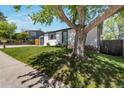 Charming single-story home with well-manicured lawn and mature shade tree at 251 Norse St, Golden, CO 80401