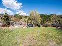 Expansive backyard with lush greenery and a backdrop of scenic mountains at 2733 S Riverview Dr, Idledale, CO 80453