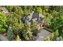 Stunning aerial shot of a secluded home surrounded by lush greenery and mature trees at 5159 Serene View Way, Parker, CO 80134