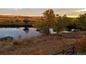 Scenic view features a serene pond reflecting the surrounding golden trees and peaceful landscape at 12431 Red Fox Way, Broomfield, CO 80021