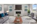 Stylish living room with modern fireplace, plush rug, and comfortable seating at 4543 Cholla Trl, Castle Rock, CO 80104