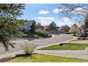 Neighborhood street featuring sidewalks and well-maintained homes at 21593 Hill Gail Way, Parker, CO 80138