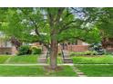 Landscaped front yard with a mature tree framing the brick home and sidewalk at 538 Cook St, Denver, CO 80206