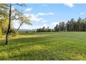 Expansive green backyard with mature trees and mountain views in the distance at 8821 Blue Creek Rd, Evergreen, CO 80439