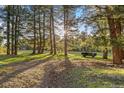 Grassy yard with trees, open area and parked trailer at 8821 Blue Creek Rd, Evergreen, CO 80439