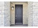 Dark-colored front door with sidelights and stone surround at 7312 Watercress Dr, Littleton, CO 80125