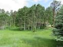 Lush backyard with aspen trees and green meadow create a private setting at 23136 Kiowa Rd, Indian Hills, CO 80454