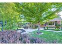 Beautifully landscaped front yard with mature trees, a walkway, and lush greenery at 3175 S Gilpin St, Englewood, CO 80113