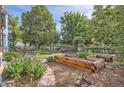 Lush backyard with raised garden beds, offering a serene and green outdoor space at 209 S Lincoln St, Denver, CO 80209