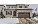 Stunning two-story home with a two-car garage and basketball hoop at 9724 Cantabria Pt, Lone Tree, CO 80124