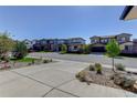 Street view showcasing modern homes, well-maintained landscaping, and curb appeal at 14077 Yellow Tip Drive, Parker, CO 80134
