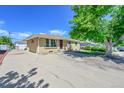 Exterior of charming home with a long driveway, well-manicured lawn, and large tree at 505 Empire St, Aurora, CO 80010