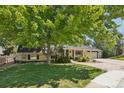 Well-maintained single-Gathering home with a lush front yard, mature trees, and a welcoming entrance at 11035 W 26Th Pl, Lakewood, CO 80215