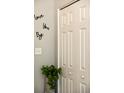 Close-up of a closet door featuring a plant, modern decor and painted in a neutral paint at 1140 Magic Lamp Way # 4, Monument, CO 80132