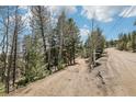 Long gravel driveway leading to the property, surrounded by trees at 11390 Shimley Rd, Golden, CO 80403