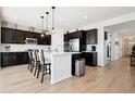 Modern kitchen featuring a large island, stainless steel appliances, and stylish dark cabinets at 771 Dutton Ct, Castle Rock, CO 80104