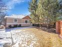 Backyard of the house with lawn and a privacy fence surrounded by large trees at 5487 Balsam Ct, Arvada, CO 80002