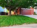 Charming home with manicured lawn and a spacious two-car garage, offering curb appeal at 8754 Snowbird Way, Parker, CO 80134
