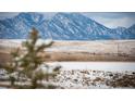 Scenic view of snow-covered mountains and grassy plains, creating a serene backdrop at 10786 Bear Cub Dr, Broomfield, CO 80021