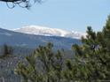 Scenic view showcasing snow-capped mountains against a clear sky, framed by lush greenery at 10178 Hutch Ln, Conifer, CO 80433