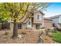 Two-story home with manicured landscaping and beautiful trees near the walkway at 1482 S Pitkin Cir, Aurora, CO 80017