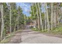 Long driveway leading to a beautiful home surrounded by lush trees and natural landscape at 266 Lodgepole Dr, Evergreen, CO 80439