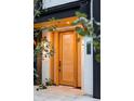 Contemporary front door with sidelights and a modern address plaque, framed by lush greenery at 1117 S Madison St, Denver, CO 80210