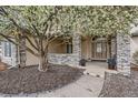 Home entrance with stone accents and a beautiful tree for shade at 1289 Diamond Ridge Cir, Castle Rock, CO 80108