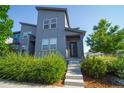 Contemporary home featuring a gray exterior, modern architecture, and a welcoming front entrance with landscaped steps at 16069 E Elk Dr, Denver, CO 80239