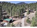 A long driveway leads to a charming house among tall pines, offering a secluded and scenic setting at 205 Yankee Creek Trl, Evergreen, CO 80439