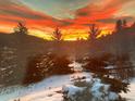 Scenic winter landscape with snow-covered trees, perfect for nature lovers at 27436 Kennedy Gulch Rd, Conifer, CO 80433