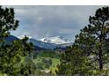 Scenic mountain view framed by lush green trees at 207 County Road 65, Evergreen, CO 80439