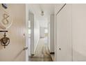 The entry hallway features white walls, carpet, and a closet, leading to the apartment's interior at 655 S Alton Way # 8D, Denver, CO 80247