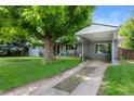 Single-story home featuring a mature shade tree and covered carport at 6283 S Prescott St, Littleton, CO 80120