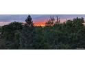 Beautiful view of a vibrant sunset seen through the lush treetops at 7715 Estes Ct, Arvada, CO 80005